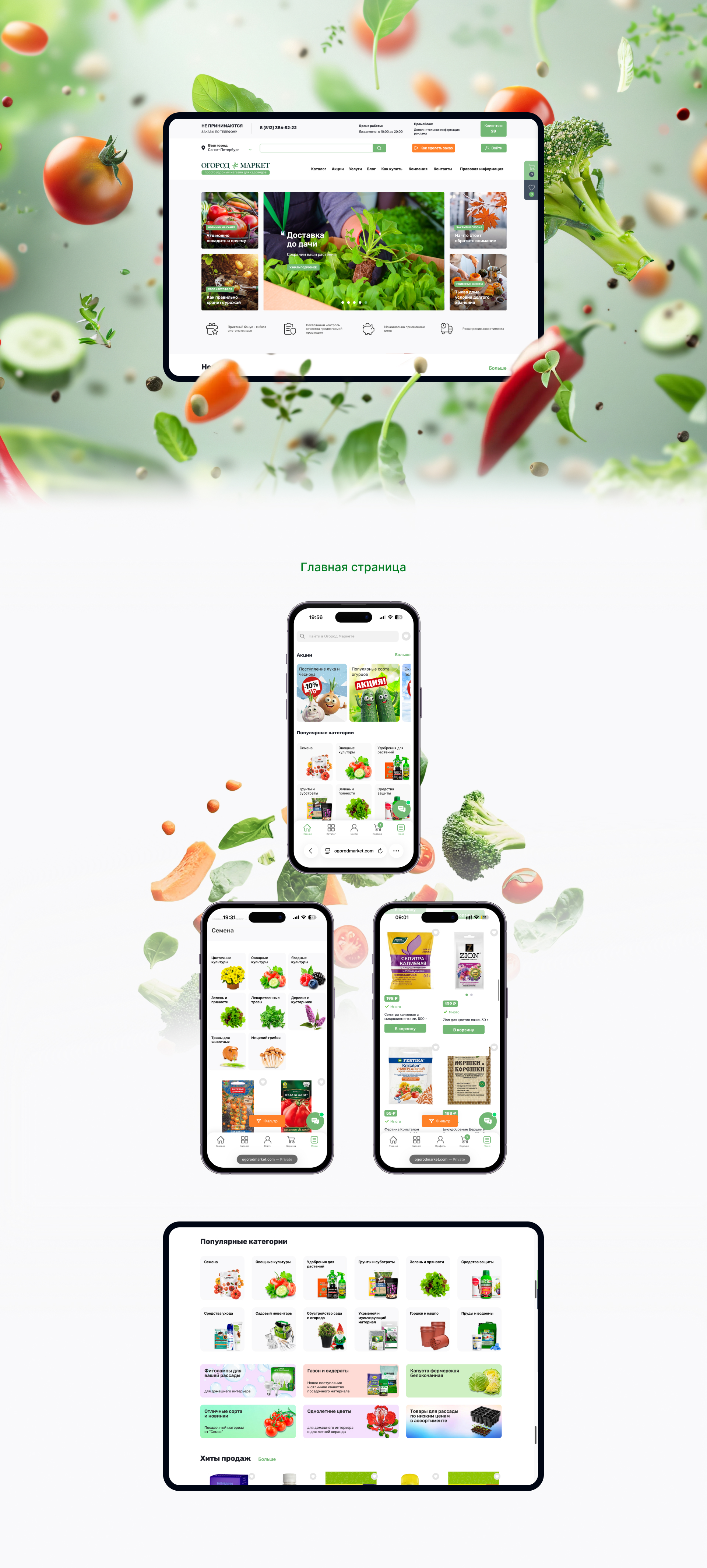 Главная страница сайта