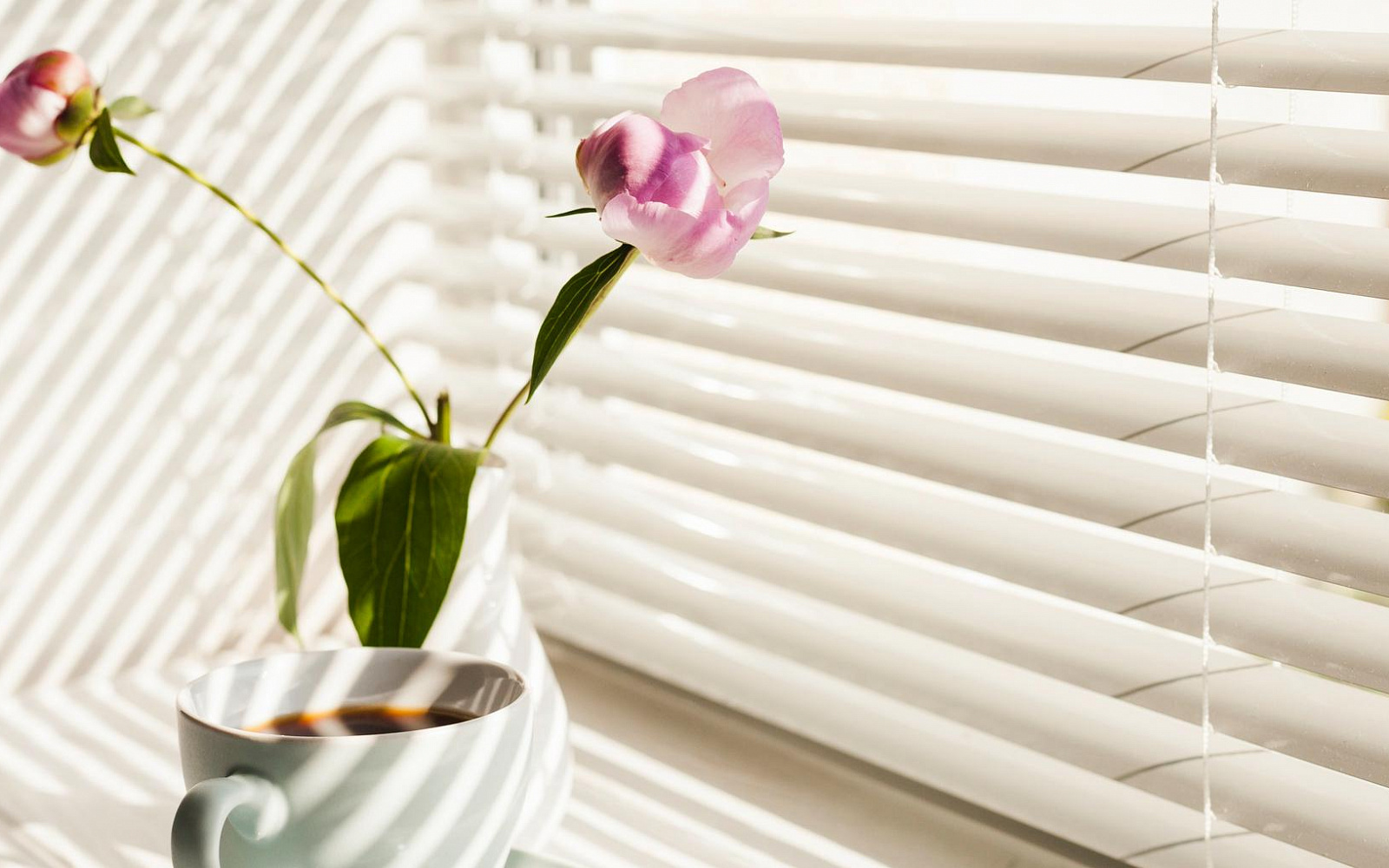 Реклама жалюзи в Санкт‑Петербурге